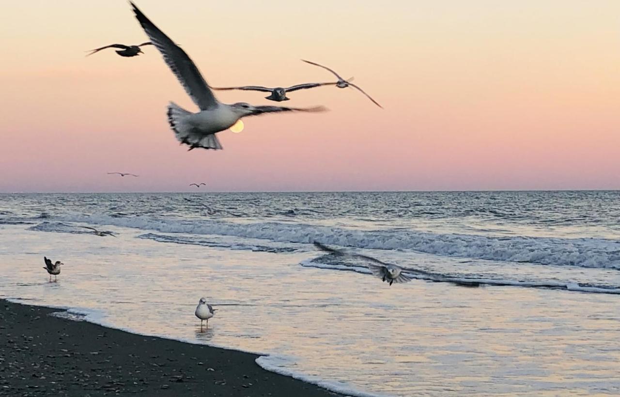 Huge Ocean Front Condo, Amazing Views Myrtle Beach Esterno foto